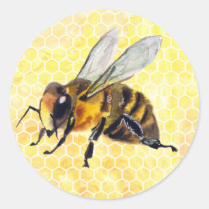 Watercolor Bee on Honeycomb Stickers