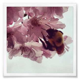 Watercolor Bee Photo Print