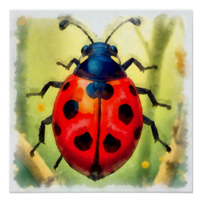Watercolor, beetle poster (Front)
