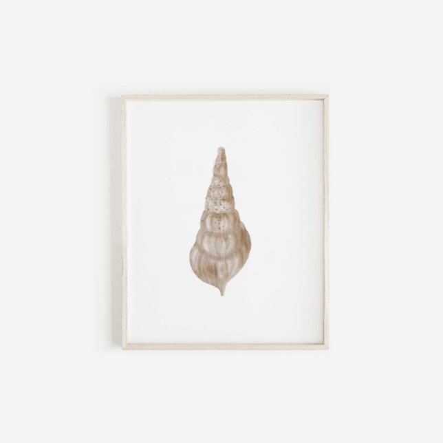 Watercolor beige seashell print (Creator Uploaded)