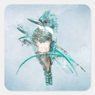 Watercolor  Belted Kingfisher Bird  Animal Square  Sticker