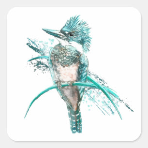 Watercolor  Belted Kingfisher Bird  Animal Square Sticker