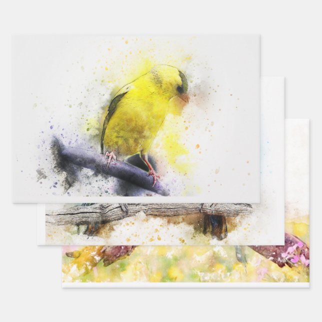 Watercolor Bird  5 Decoupage Wall Art  Wrapping Paper Sheet (Set)