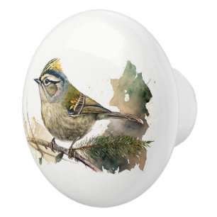 Watercolor Bird on a Pine Branch Ceramic Knob