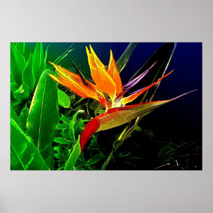 Watercolor Bird Print