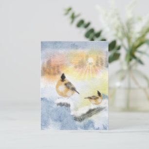 Watercolor Birds Postcard Beautiful Bird