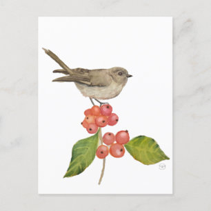 Watercolor birds "Sylvia curruca" Holiday Postcard