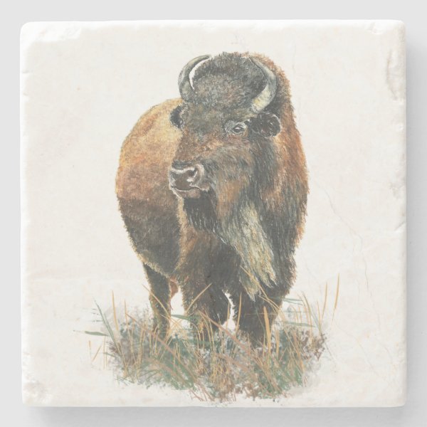 Watercolor Bison Buffalo Animal Gifts & Gift Ideas | Zazzle UK