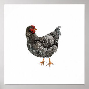 Watercolor Black and white Hen Bird Painting Poster