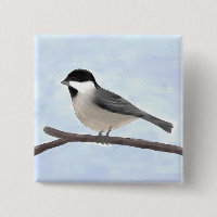 Watercolor Black-capped Chickadee Button