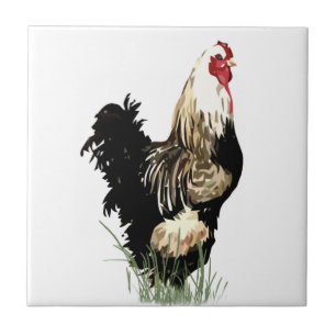 Watercolor Black & White Rooster Bird Chicken Tile