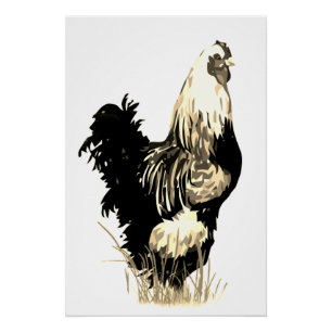 Watercolor Black White Rooster Chicken Farm Bird Poster