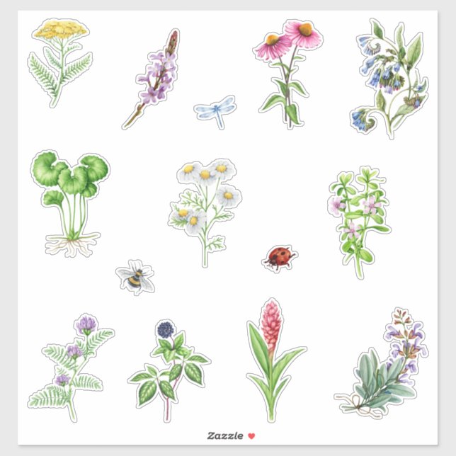 Watercolor Blooming Herbal Plants  (Sheet)