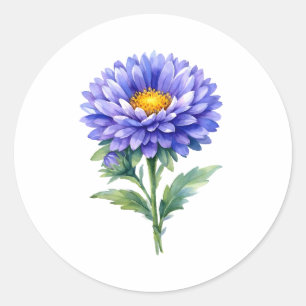 Watercolor Blooming Purple Aster Flower Classic Round Sticker