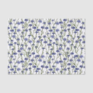 Watercolor Blue Cornflowers on White Background Tissue Paper