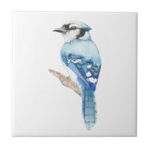 Watercolor Blue Jay Bird Art Tile