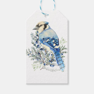 Watercolor Blue Jay Bird Blueberries Country Art Gift Tags