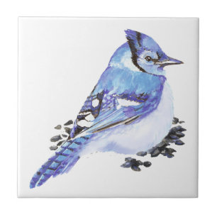 Watercolor Blue Jay Bird Wildlife Nature art Tile