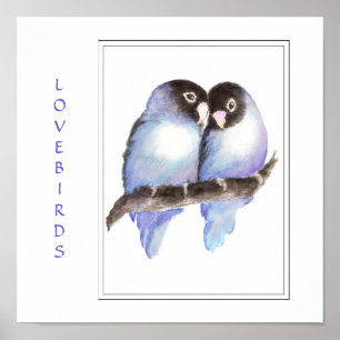 Watercolor Blue Lovebirds -Bird  Print