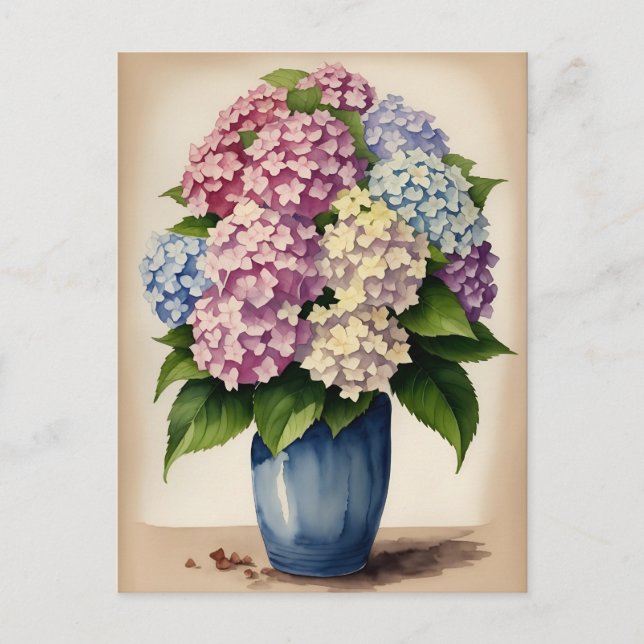 Watercolor Blue Pink Purple Hydrangea Flower Postcard (Front)