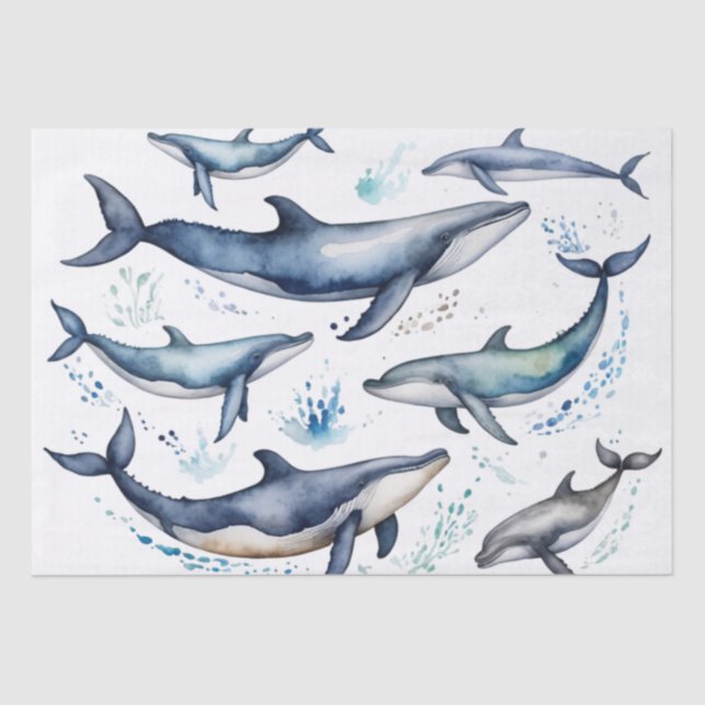 Watercolor Blue Whales and dolphins , sea animal   Tissue Paper (Front)
