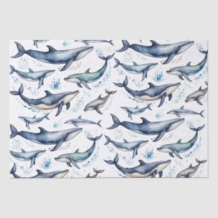 Watercolor Blue Whales and dolphins , sea animal   Tissue Paper