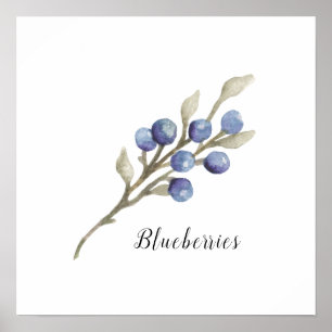 Watercolor Blueberries Botanical Poster