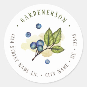 Watercolor Blueberries  Classic Round Sticker