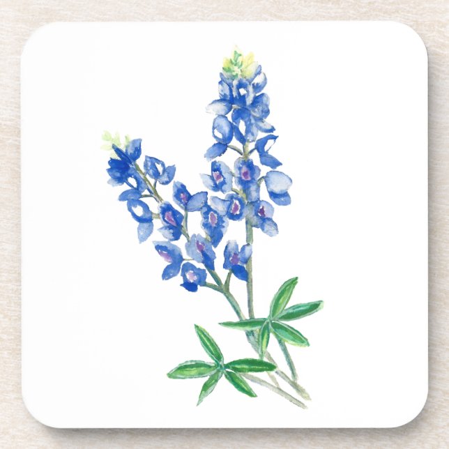 Watercolor Bluebonnet 3 Coaster (Front)
