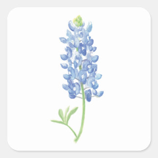 Watercolor Bluebonnet Flower Square Sticker