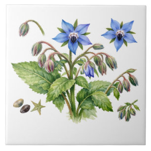 Watercolor Borage Herb Flowers and Leaves Tile