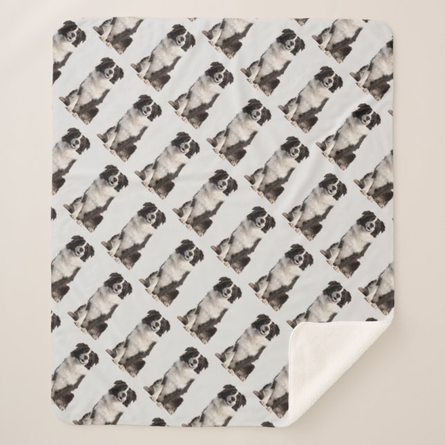 Watercolor Border Collie Dog Pet  Sherpa Blanket (Front)