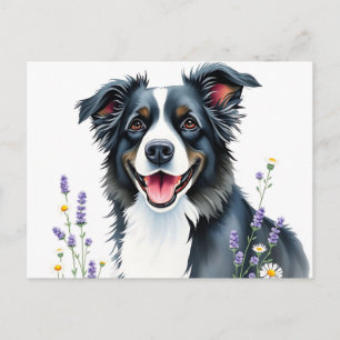 Watercolor Border Collie with Lavender and Daisies Postcard