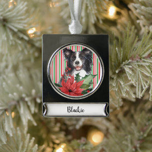 Watercolor Border Collie With Poinsettia  Silver Plated Banner Ornament