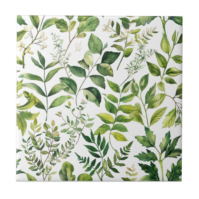 Watercolor Botanical Green leaves  Tile (Front)