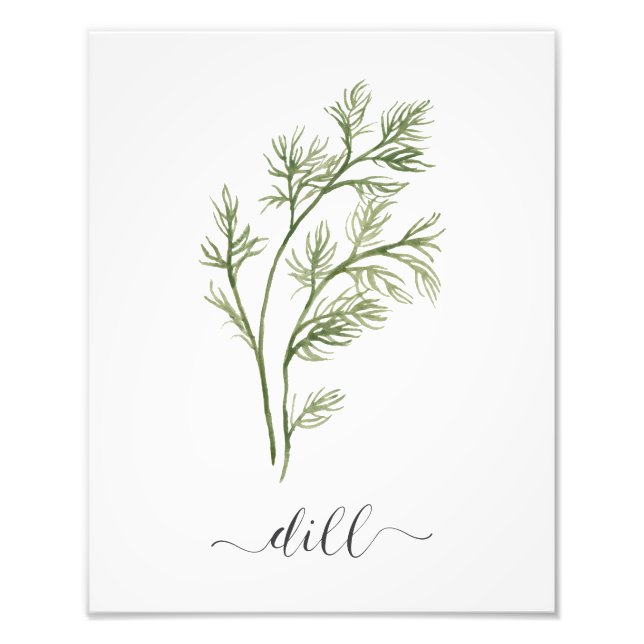 Watercolor Botanical Herb Print Dill (Front)