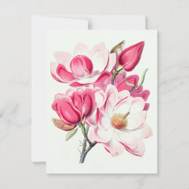 Watercolor Botanical Pink Magnolia Flowers Card (Front)