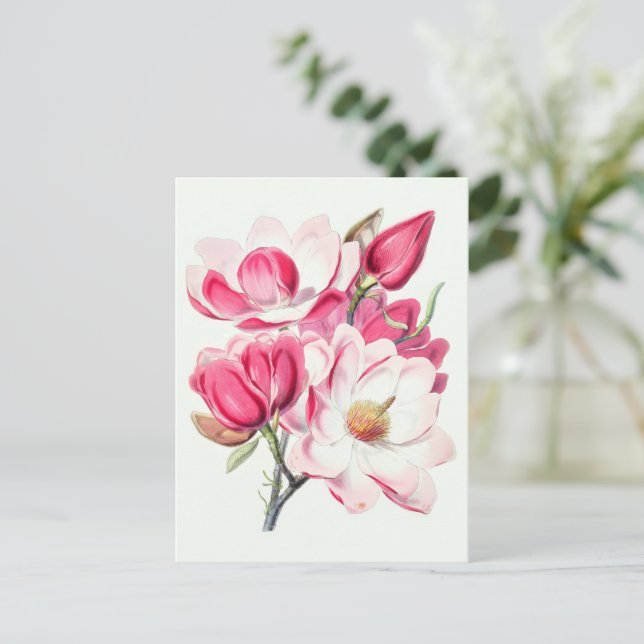 Watercolor Botanical Pink Magnolia Flowers Postcard (Standing Front)