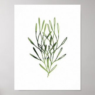 Watercolor Botanical Print Trio