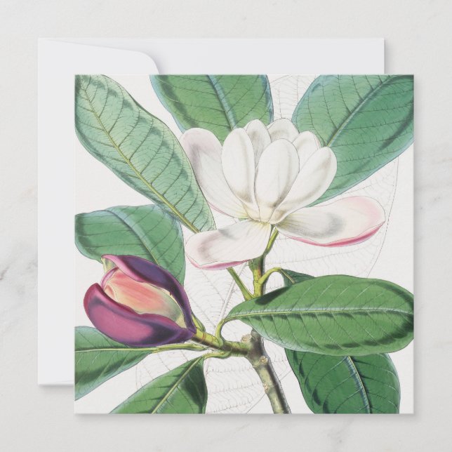 Watercolor Botanical White Magnolia & Green Leaves Holiday Card (Front)