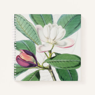Watercolor Botanical White Magnolia & Green Leaves Notebook