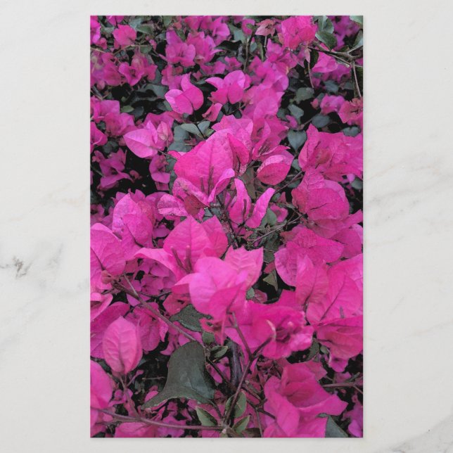 Watercolor-Bougainvillea (Front)