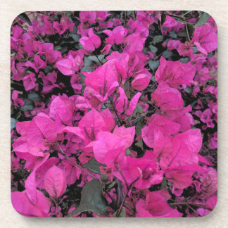 Watercolor-Bougainvillea Coaster