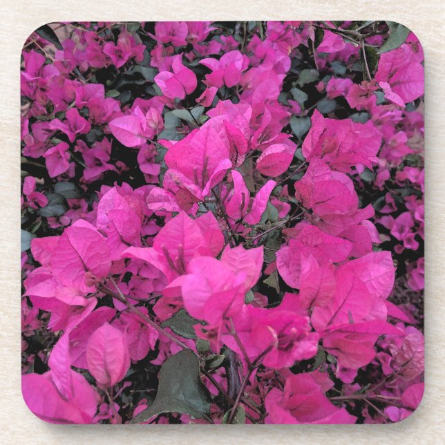 Watercolor-Bougainvillea Coaster (Front)