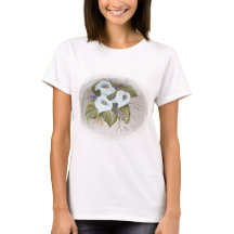 Watercolor bouquet of white callas