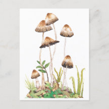 Watercolor Brown Forest Mushrooms