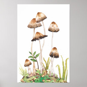 Watercolor Brown Forest Mushrooms Poster