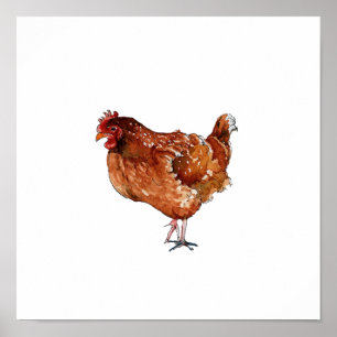 Watercolor Brown Hen Bird Painting Poster