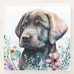 Watercolor Brown Labrador Retriever and Flowers Glass Coaster