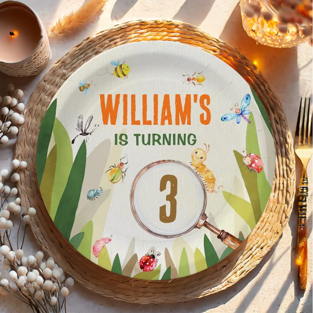 Watercolor Bug Insect Boy Birthday Paper Plate (Creator Uploaded)